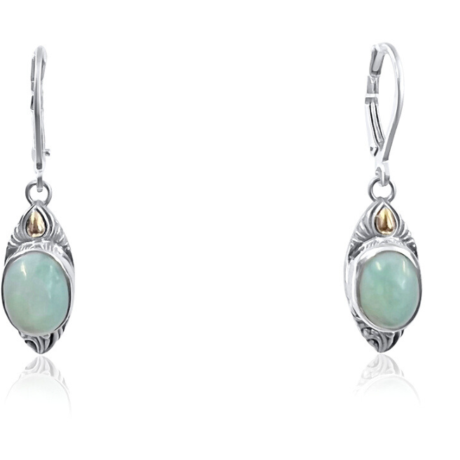 Mysterious Eyes Earring - Larimar